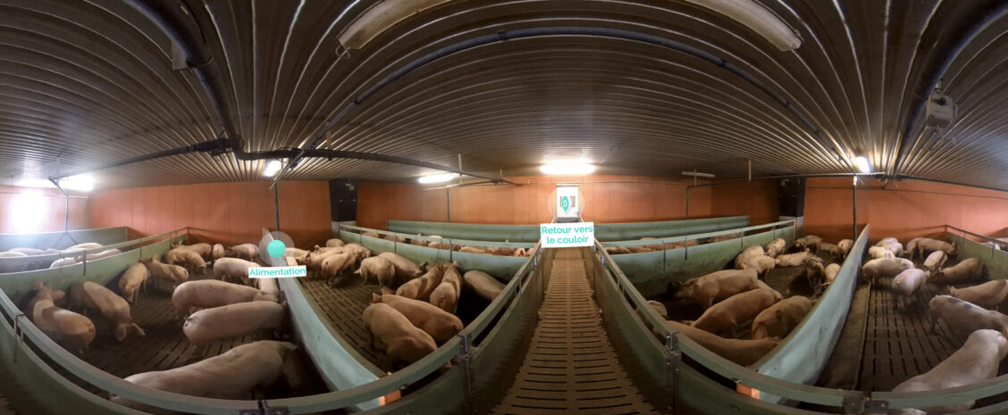 EnvA &#8211; Enable future veterinarians to visit a farm in Virtual Reality