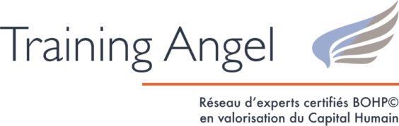Training Angel - Logo