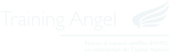 Training Angel - Logo Blanc